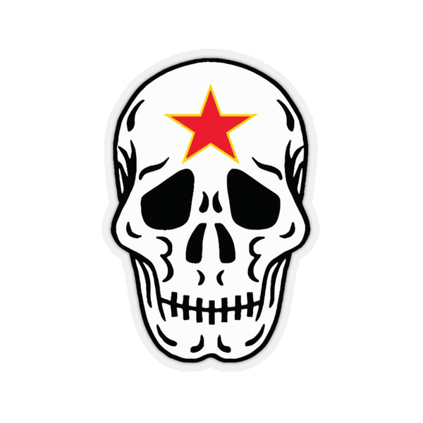 Aggressor Skull Stickers